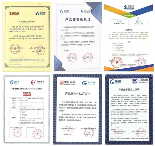 金萬維 國產化替代吹響沖鋒號,傳統(tǒng)軟件如何快速落地到 國產化 環(huán)境中