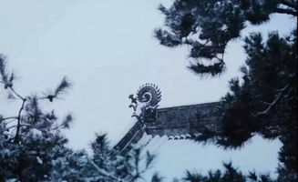 大雪 雪多了韻味,冬便有了詩意